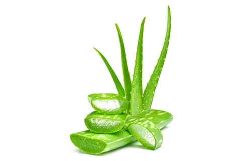 aloe-vera-gel-dripping-sliced-leaves-isolated-white-background-skin-body-care_106885-2659